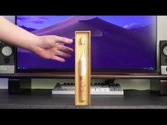 Navulbare Mondelinge Zorg Elektrische Tandenborstel IPX7 Waterdicht voor Volwassenentienerjaren